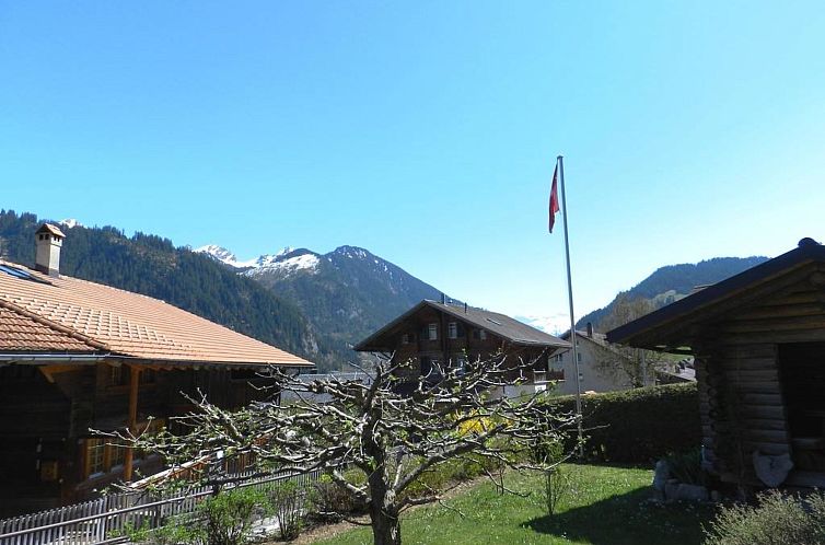 Appartement Bolgen