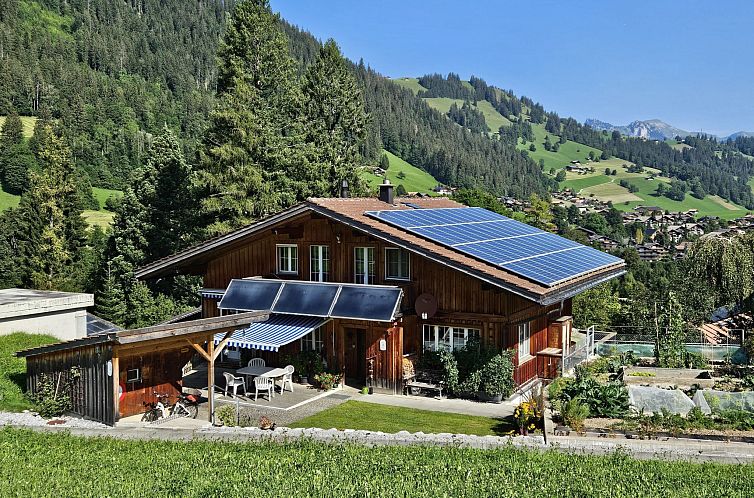Unterkunft 1803816 - Appartement Berner Oberland - Appartement Burkhalter