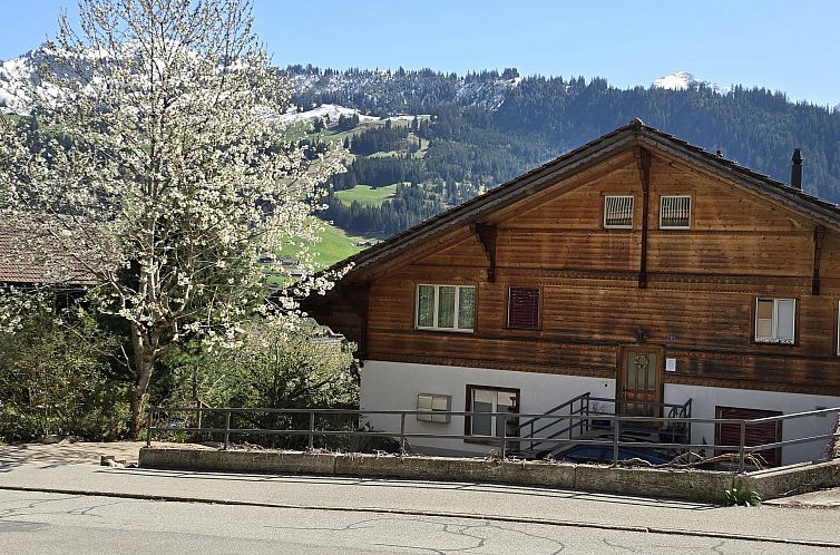 Unterkunft 1803820 - Appartement Berner Oberland - Appartement Am Ryschbächli