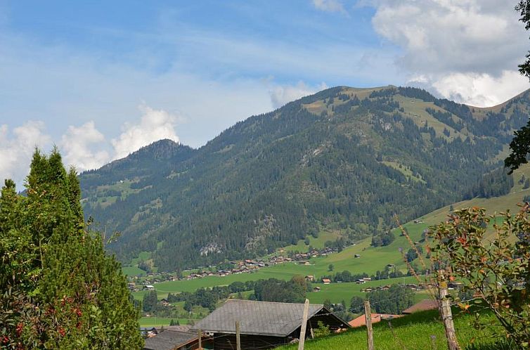 Appartement Spillgerten-Blick