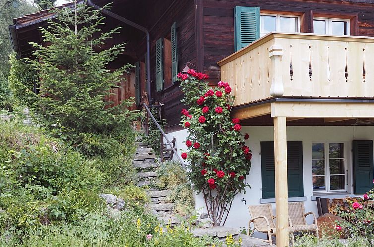 Appartement Hübeli (Kopp)