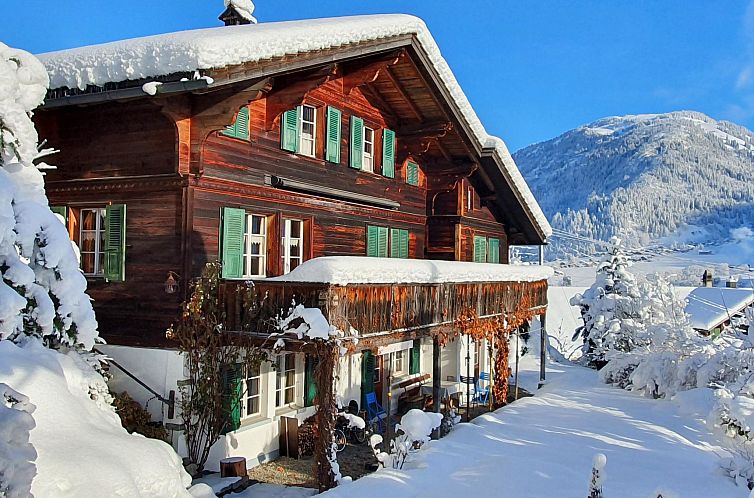 Appartement Hübeli (Kopp)
