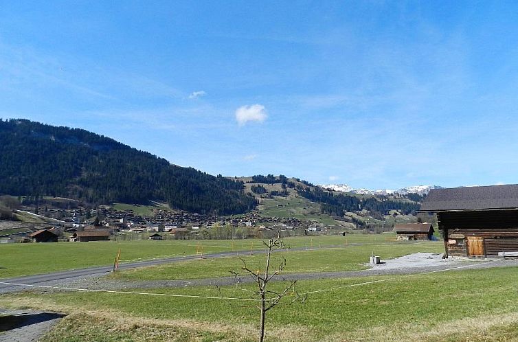 Appartement Studio Rinderbergblick