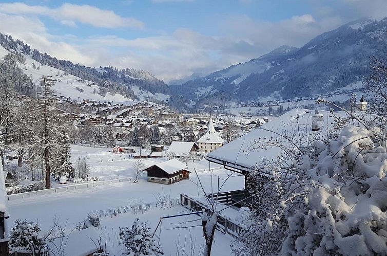 Appartement Burkhalter Appartement/Fewo, Dusche oder Bad, WC