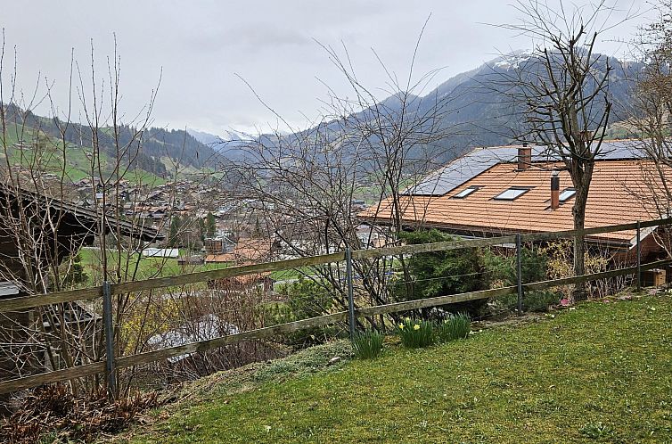 Appartement Burkhalter Appartement/Fewo, Dusche oder Bad, WC