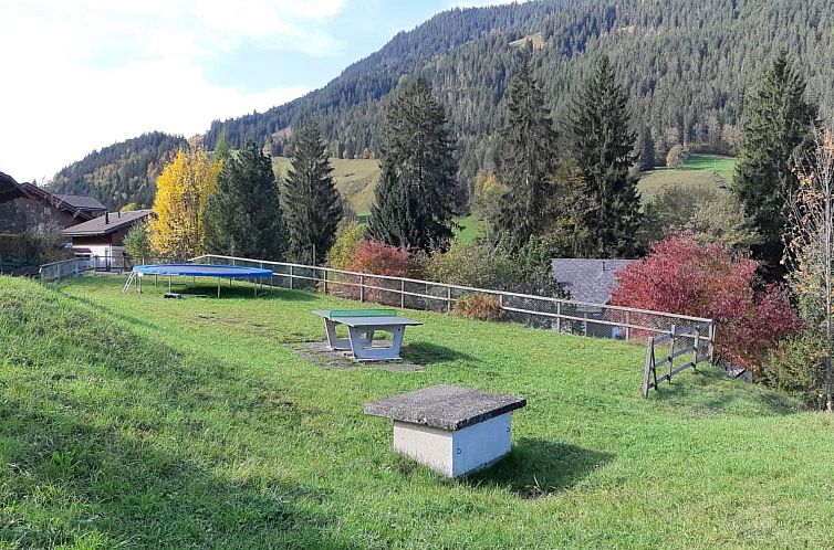 Appartement Burkhalter Appartement/Fewo, Dusche oder Bad, WC