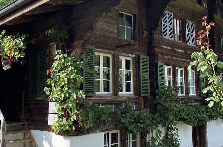 Vakantiehuis „Seesicht“