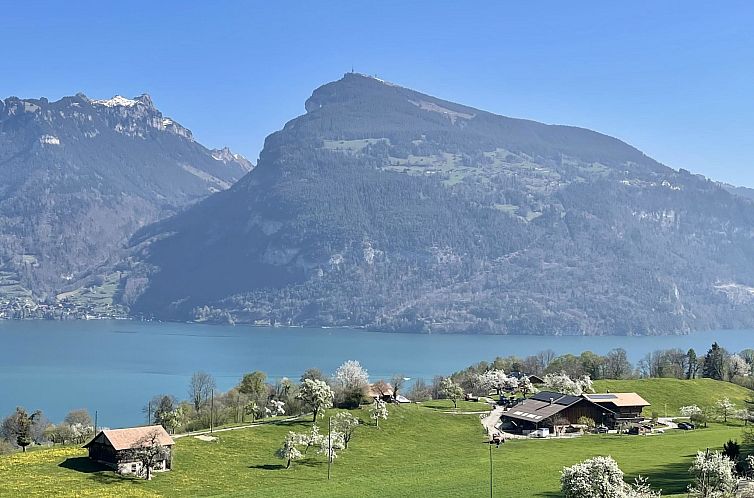 Appartement Panoramaferienwohnung Waldkircher