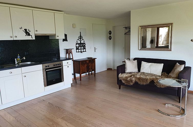 Appartement Panoramaferienwohnung Waldkircher