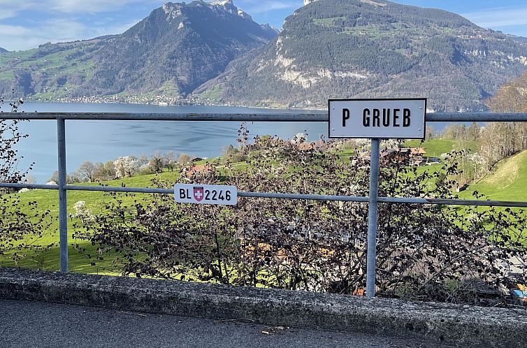 Appartement Panoramaferienwohnung Waldkircher