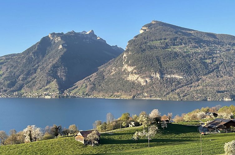 Appartement Panoramaferienwohnung Waldkircher