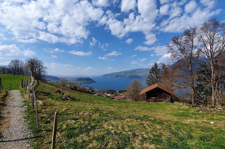 Appartement Panoramaferienwohnung Waldkircher