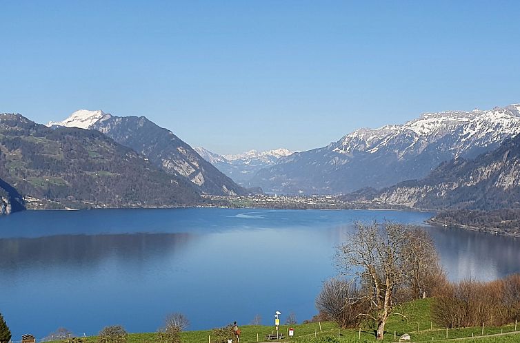 Appartement Panoramaferienwohnung Waldkircher