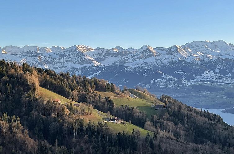 Appartement Panoramaferienwohnung Waldkircher