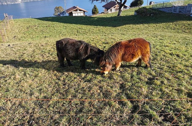 Appartement Traumblick Krattigen