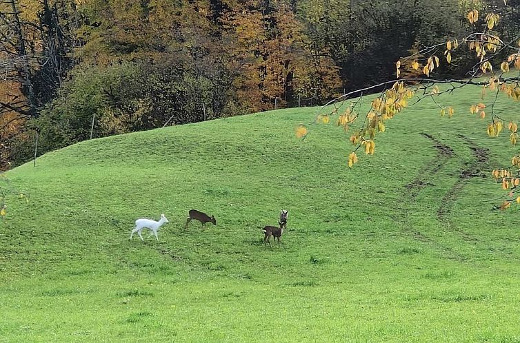 Appartement Traumblick Krattigen