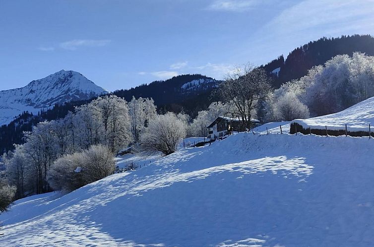 Appartement Traumblick Krattigen