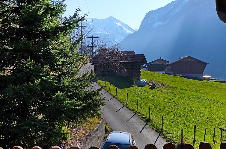 Vakantiehuis Chalet Guldeli