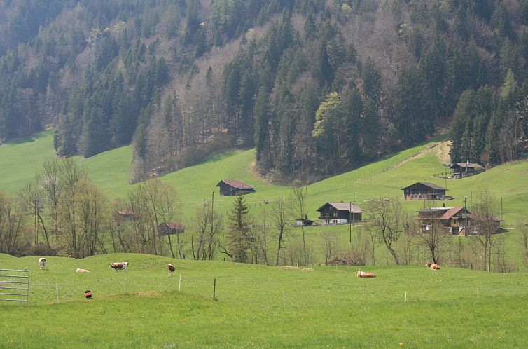 Appartement Chalet Bifigen