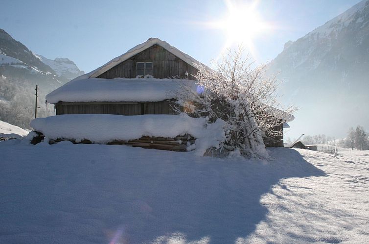 Appartement Chalet Bifigen