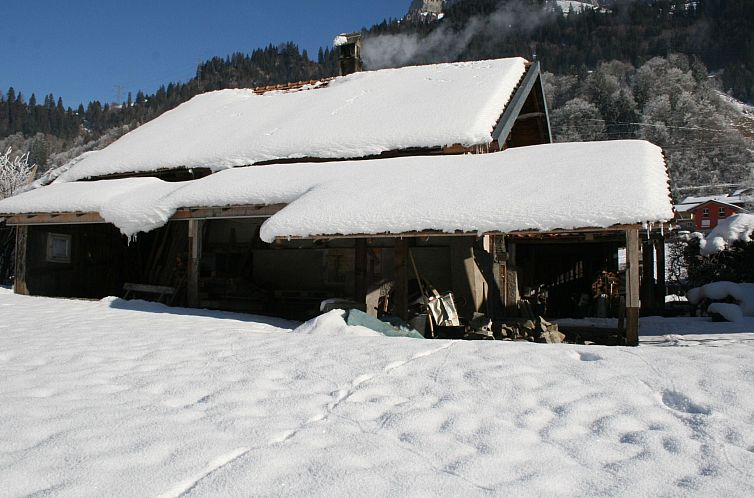 Appartement Chalet Bifigen