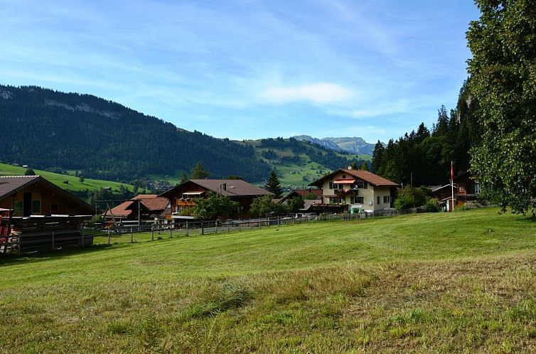 Appartement Bolzli-Hus