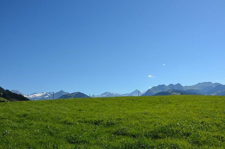 Appartement Henry (Tiefparterre)
