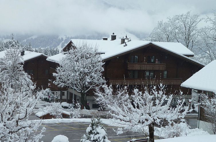 Appartement Suzanne Nr. 18