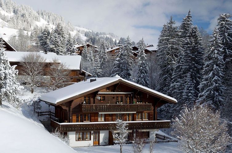 Appartement Graebi