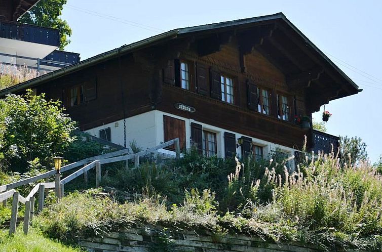 Verblijf 1805204 - Appartement Berner Oberland - Appartement Arduus