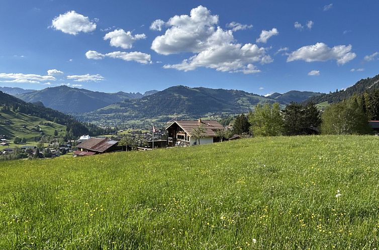 Appartement Alpenchalet Haldeli