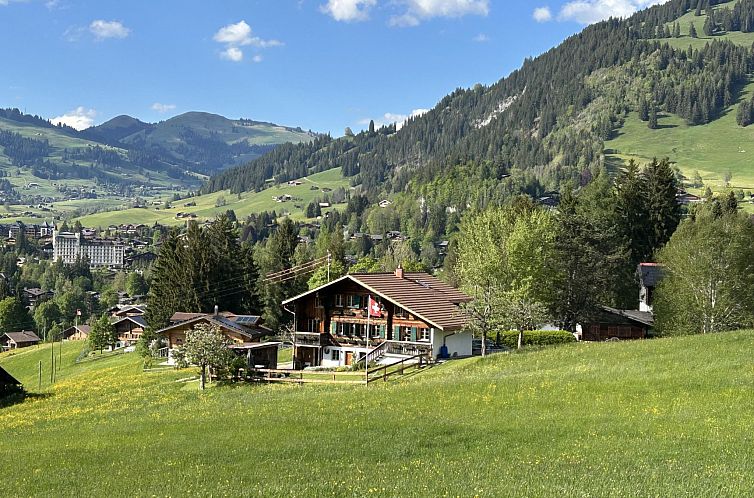 Appartement Alpenchalet Haldeli