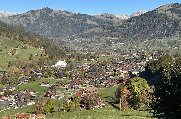 Appartement Alpenchalet Haldeli