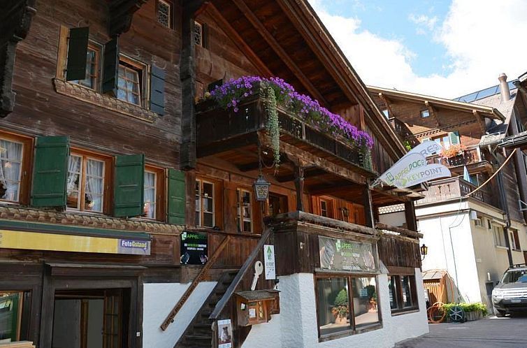 Appartement Le Vieux Chalet