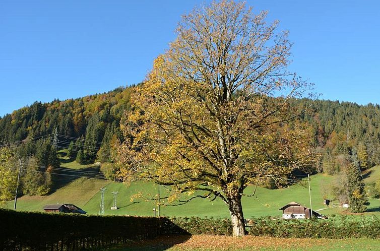 Appartement Oberland Nr. 3