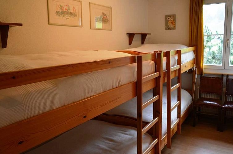 Appartement Oberland Nr. 3