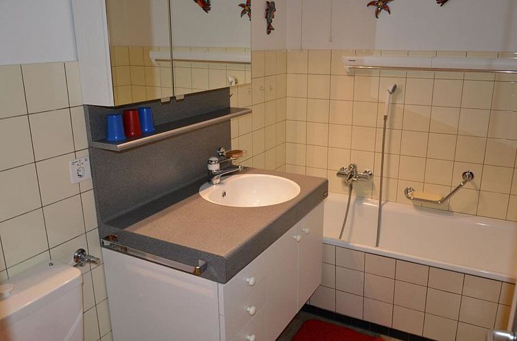 Appartement Oberland Nr. 3