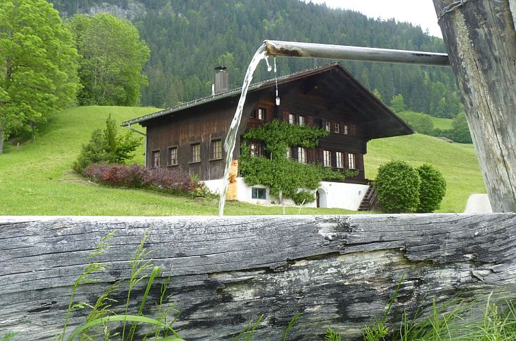 Verblijf 1805238 - Appartement Berner Oberland - Appartement Aerneli, Chalet