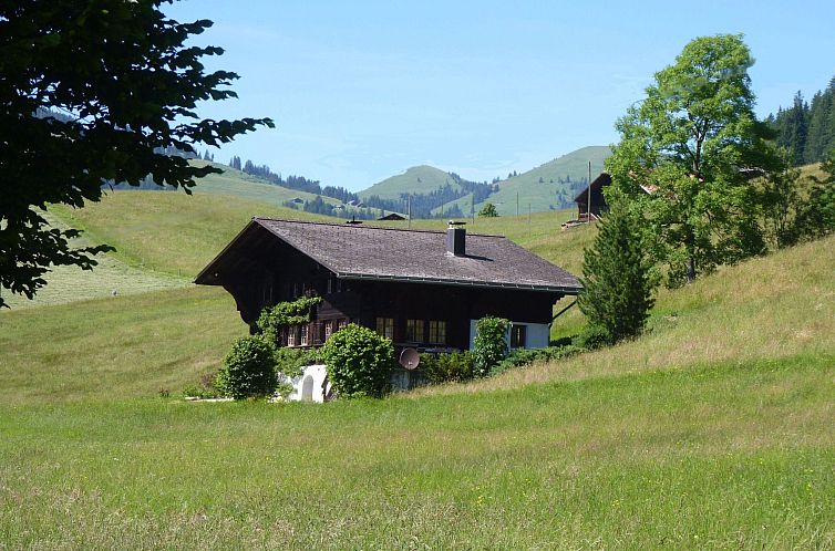 Appartement Aerneli, Chalet