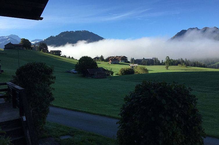 Appartement Aerneli, Chalet