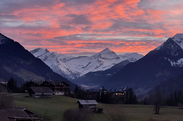 Appartement Aerneli, Chalet