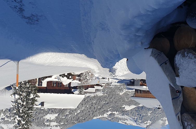 Appartement Aerneli, Chalet