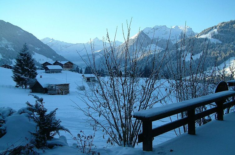 Appartement Aerneli, Chalet
