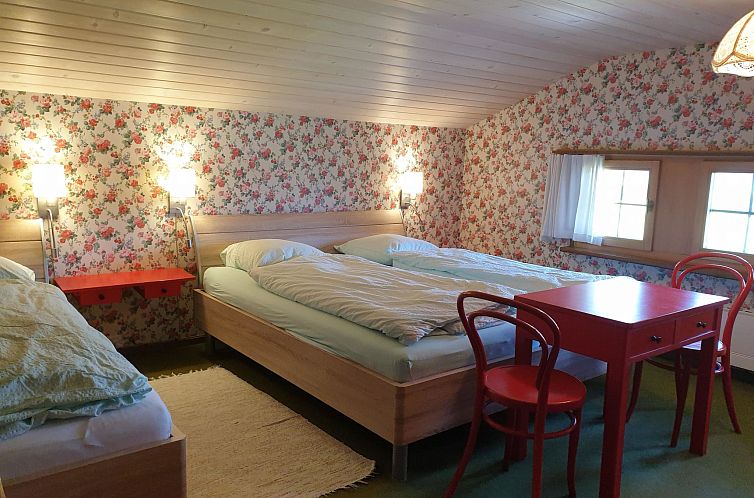 Appartement Aerneli, Chalet