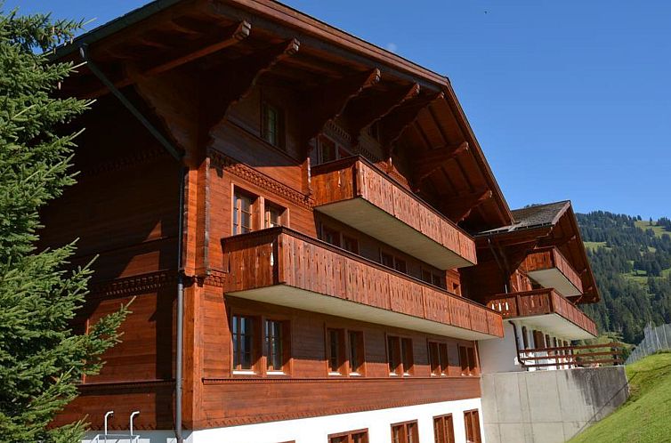 Appartement Henry (2. Stock) Appartement/Fewo, Dusche oder B