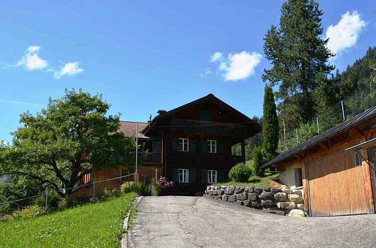Appartement Meielblick Appartement/Fewo, Dusche oder Bad, WC
