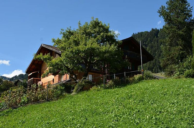 Appartement Meielblick Appartement/Fewo, Dusche oder Bad, WC