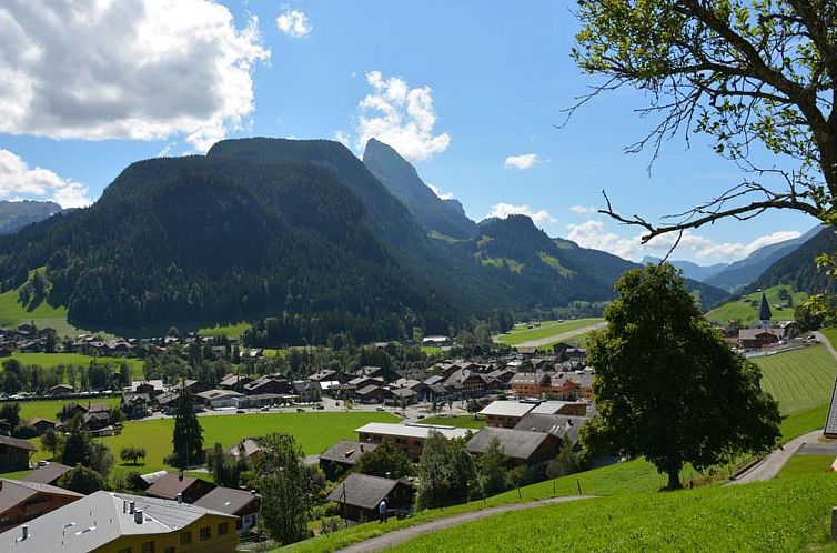 Appartement Meielblick Appartement/Fewo, Dusche oder Bad, WC