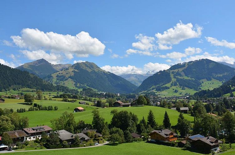 Appartement Meielblick Appartement/Fewo, Dusche oder Bad, WC