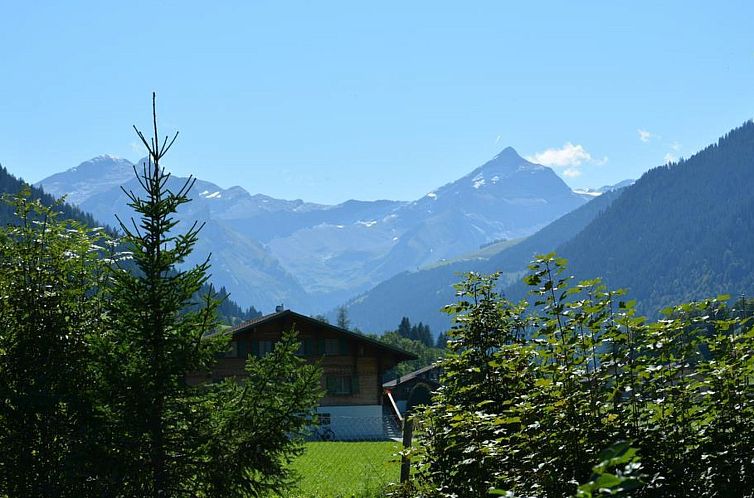 Appartement La Sarine 124